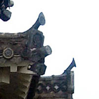 photo_k_fig33.jpg